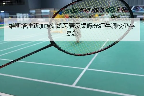 维斯塔潘新加坡站练习赛反馈曝光红牛调校仍存悬念
